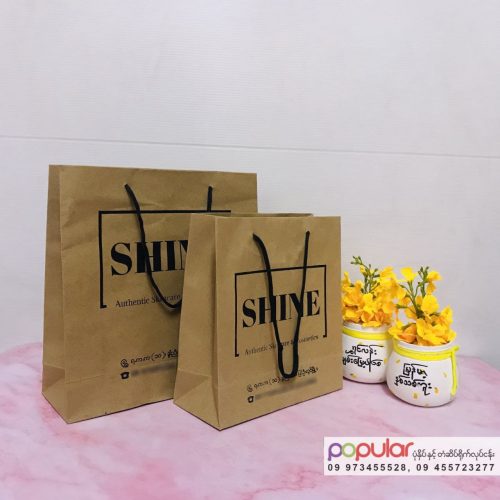 Paper Bag (2)