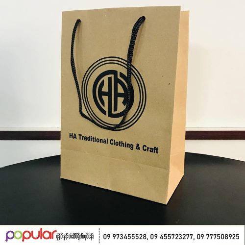 Paper Bag (5)