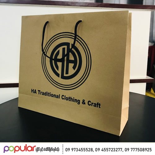 Paper Bag (6)