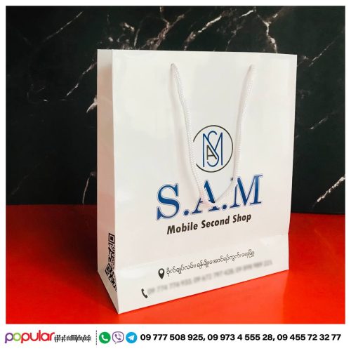 Paper bag (12)