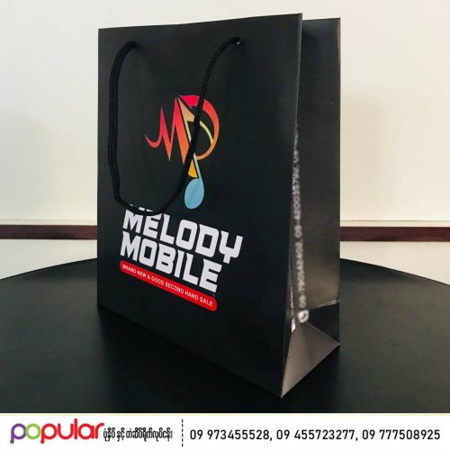Paper bag (16)