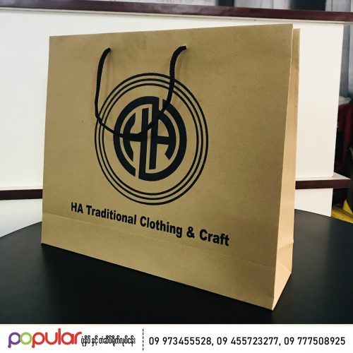 Paper bag (19)