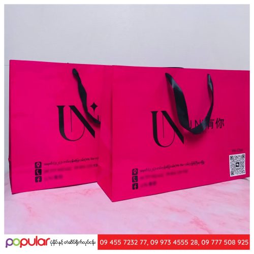 Paper bag (2)