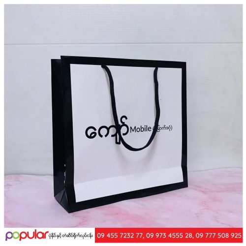 Paper bag (4)