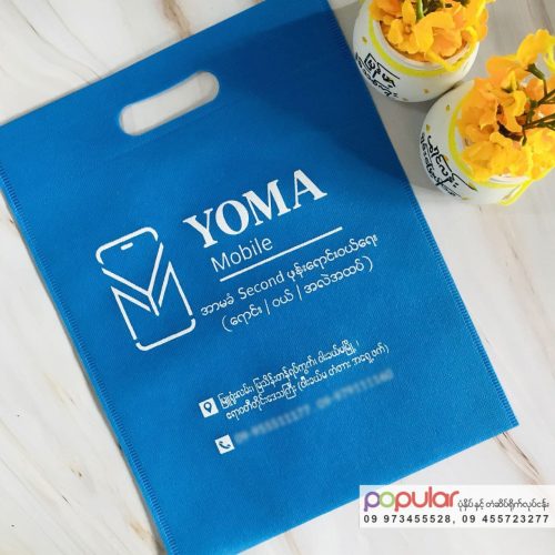 Recycle Bag (12)