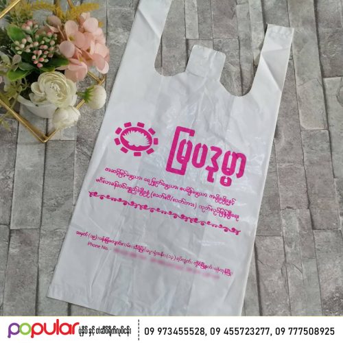 Shopping Bag (1)