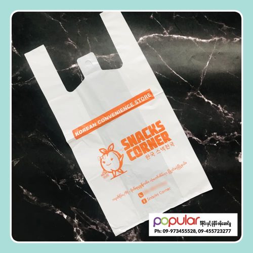 Shopping Bag (11)