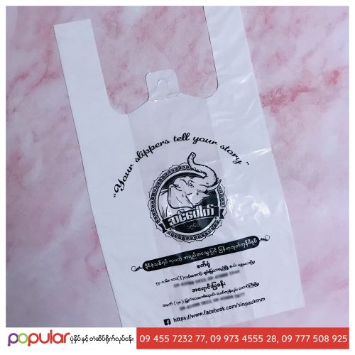 Shopping Bag (4)