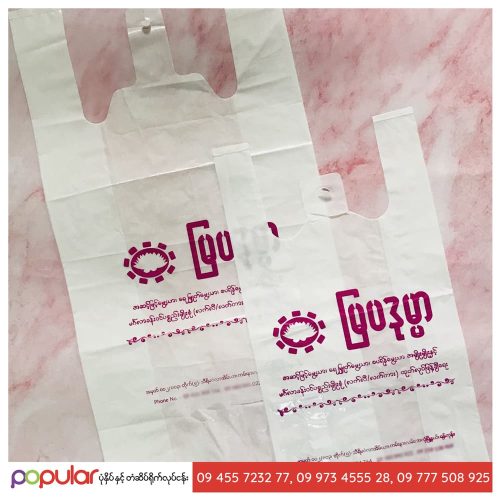 Shopping Bag (6)