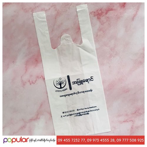 Shopping Bag (7)