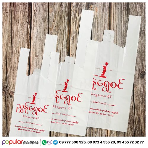 Shopping Bag (8)