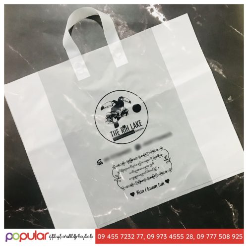 plastic bag (11)