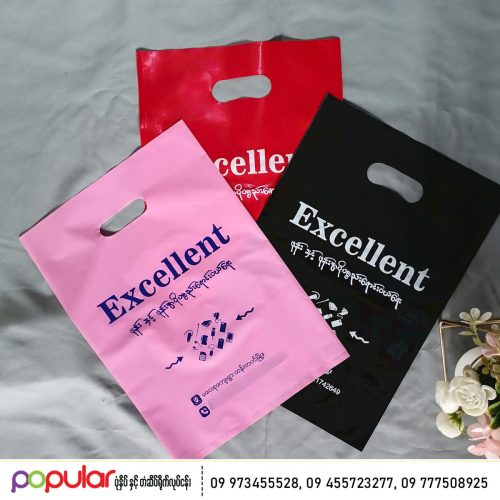 plastic bag (2)
