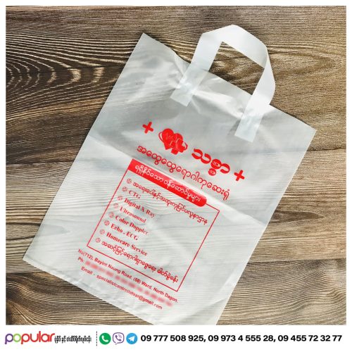 plastic bag (5)